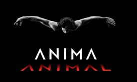 Herman Cornejo desata 'Anima Animal' Un fascinante viaje de danza en el Joyce Theater y luego en Miami